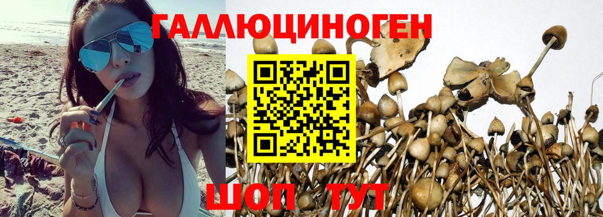 хочу наркоту  Вход с VPN  Заволжье  Псилоцибиновые грибы мухоморы 