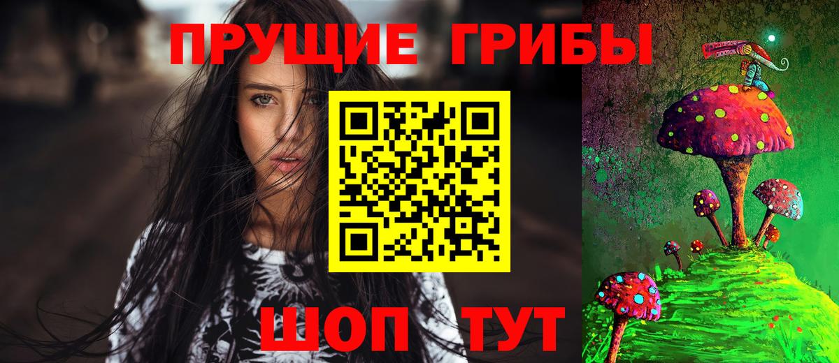 Псилоцибиновые грибы Psilocybine cubensis Заволжье